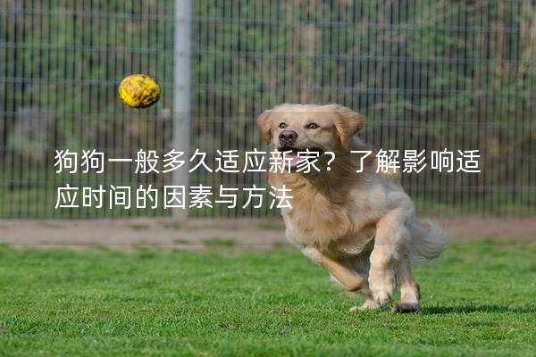 狗狗一般多久适应新家？了解影响适应时间的因素与方法