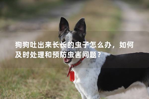 狗狗吐出来长长的虫子怎么办，如何及时处理和预防虫害问题？