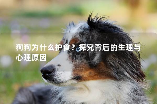 狗狗为什么护食？探究背后的生理与心理原因