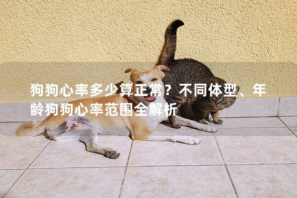 狗狗心率多少算正常？不同体型、年龄狗狗心率范围全解析