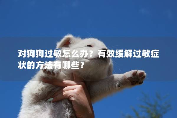 对狗狗过敏怎么办？有效缓解过敏症状的方法有哪些？