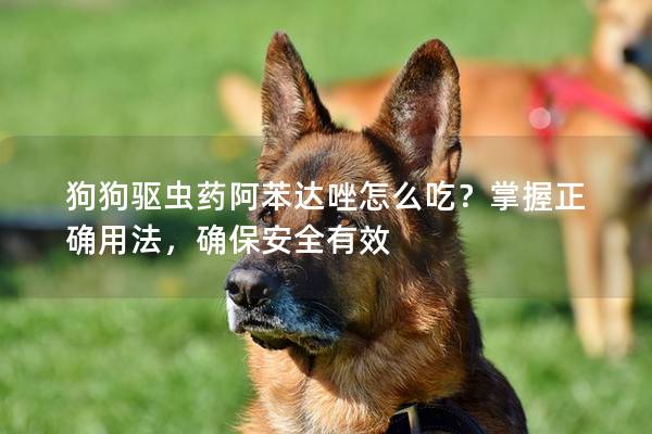 狗狗驱虫药阿苯达唑怎么吃？掌握正确用法，确保安全有效