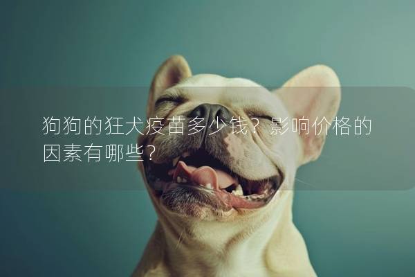 狗狗的狂犬疫苗多少钱？影响价格的因素有哪些？