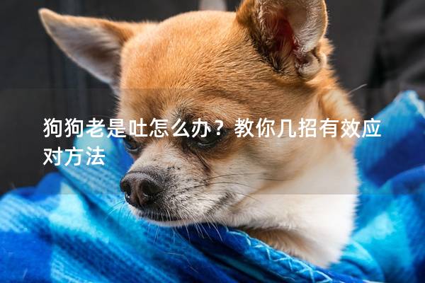狗狗老是吐怎么办？教你几招有效应对方法