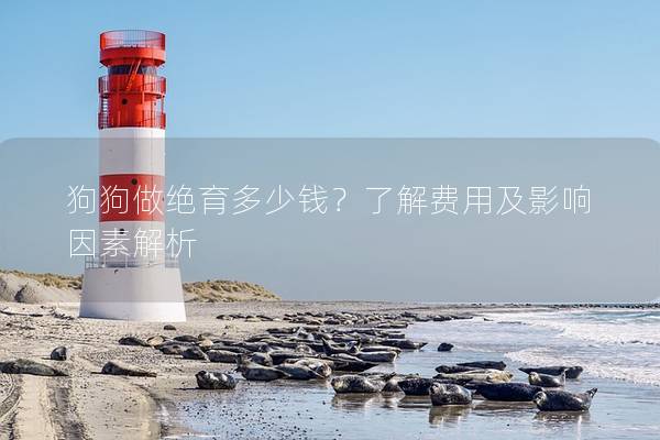 狗狗做绝育多少钱？了解费用及影响因素解析