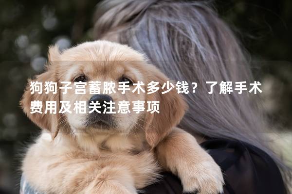 狗狗子宫蓄脓手术多少钱？了解手术费用及相关注意事项