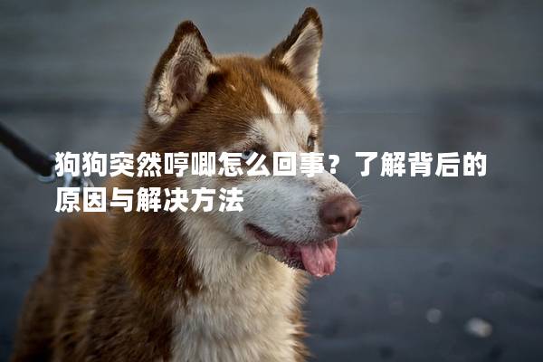 狗狗突然哼唧怎么回事？了解背后的原因与解决方法