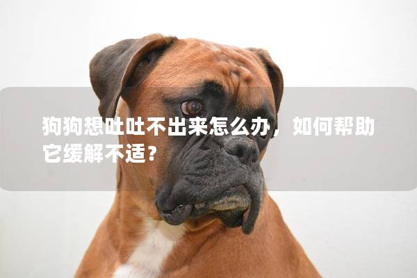 狗狗想吐吐不出来怎么办，如何帮助它缓解不适？