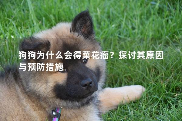 狗狗为什么会得菜花瘤？探讨其原因与预防措施