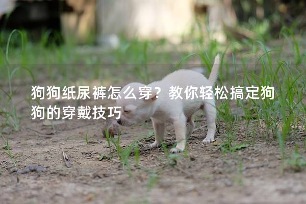 狗狗纸尿裤怎么穿？教你轻松搞定狗狗的穿戴技巧