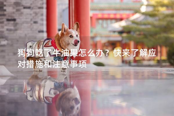 狗狗吃了牛油果怎么办？快来了解应对措施和注意事项