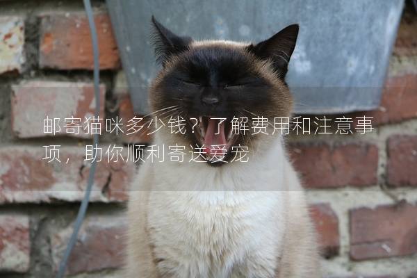 邮寄猫咪多少钱?了解费用和注意事项,助你顺利寄送爱宠 邮寄猫咪多少钱?了解费用和注意事项,助你顺利寄送爱宠