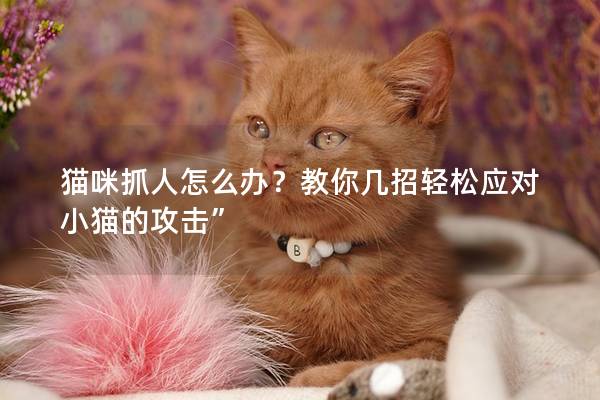 猫咪抓人怎么办？教你几招轻松应对小猫的攻击”
