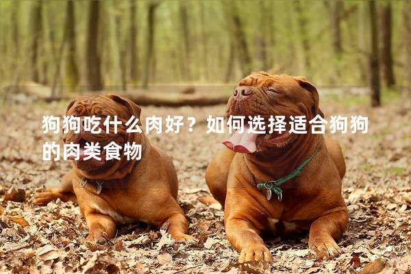 狗狗吃什么肉好？如何选择适合狗狗的肉类食物