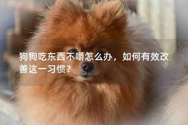 狗狗吃东西不嚼怎么办，如何有效改善这一习惯？