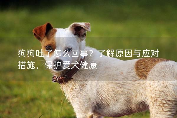 狗狗吐了怎么回事？了解原因与应对措施，保护爱犬健康