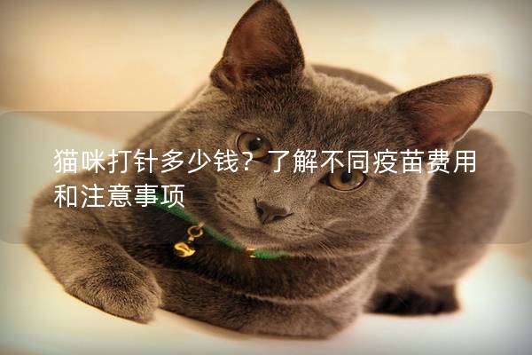 猫咪打针多少钱？了解不同疫苗费用和注意事项