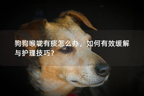 狗狗喉咙有痰怎么办，如何有效缓解与护理技巧？