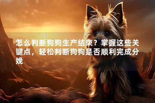怎么判断狗狗生产结束？掌握这些关键点，轻松判断狗狗是否顺利完成分娩