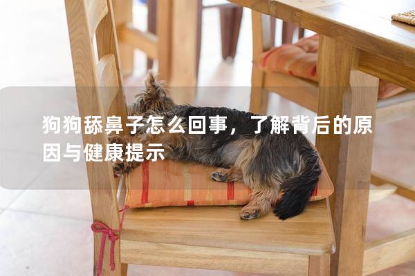 狗狗舔鼻子怎么回事，了解背后的原因与健康提示