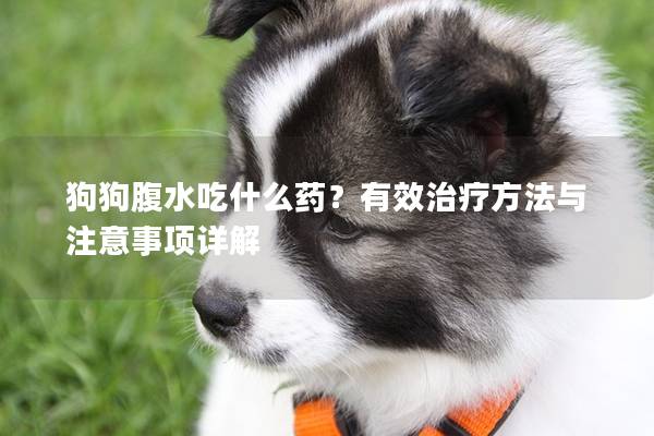 狗狗腹水吃什么药？有效治疗方法与注意事项详解