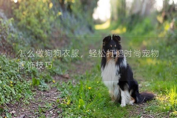 怎么做狗狗衣服，轻松打造时尚宠物服饰技巧