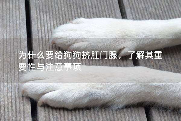 为什么要给狗狗挤肛门腺，了解其重要性与注意事项