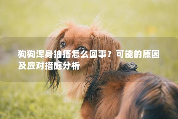 狗狗浑身抽搐怎么回事？可能的原因及应对措施分析