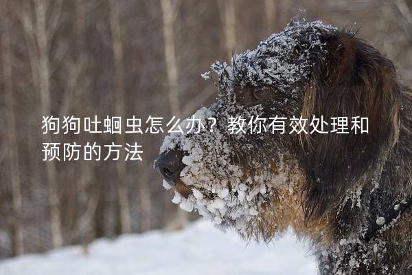 狗狗吐蛔虫怎么办？教你有效处理和预防的方法