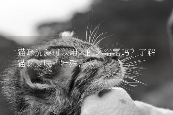 猫咪洗澡可以用人的沐浴露吗？了解猫咪皮肤的特殊需求