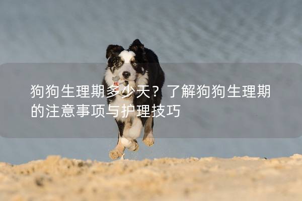 狗狗生理期多少天？了解狗狗生理期的注意事项与护理技巧
