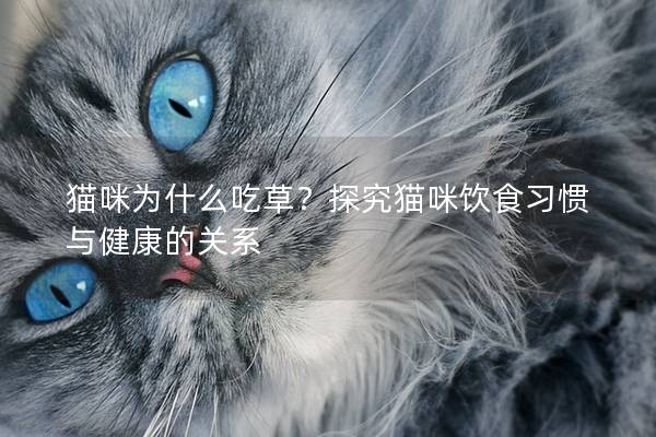 猫咪为什么吃草？探究猫咪饮食习惯与健康的关系