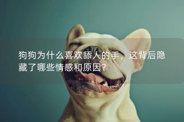 狗狗为什么喜欢舔人的手，这背后隐藏了哪些情感和原因？
