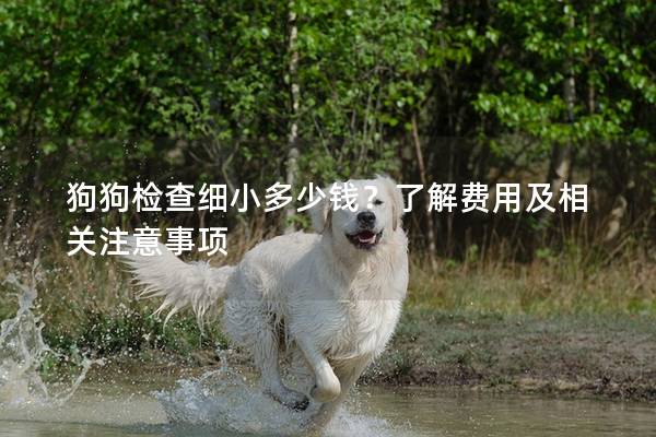 狗狗检查细小多少钱？了解费用及相关注意事项