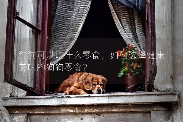 狗狗可以吃什么零食，如何选择健康美味的狗狗零食？
