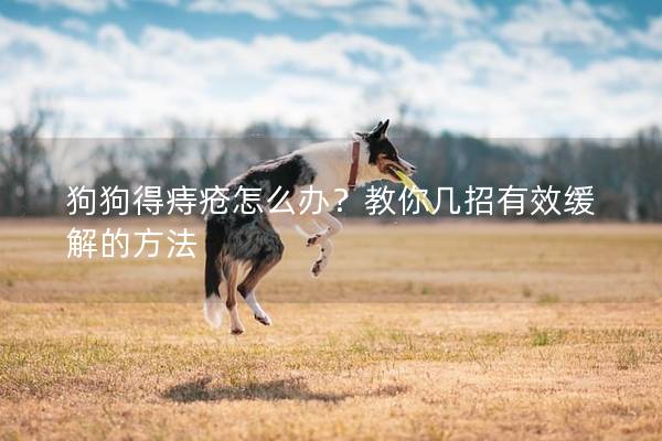 狗狗得痔疮怎么办？教你几招有效缓解的方法