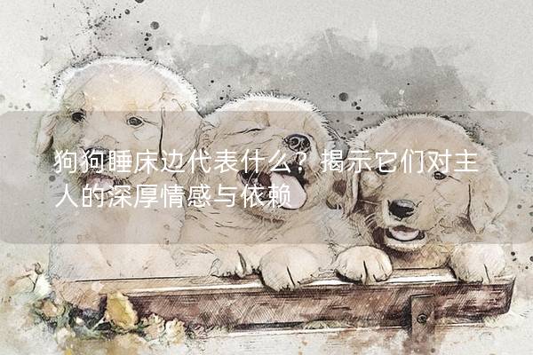 狗狗睡床边代表什么？揭示它们对主人的深厚情感与依赖