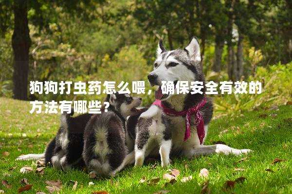 狗狗打虫药怎么喂，确保安全有效的方法有哪些？