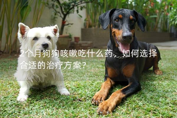 2个月狗狗咳嗽吃什么药，如何选择合适的治疗方案？