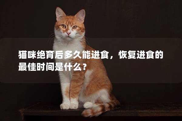 猫咪绝育后多久能进食，恢复进食的最佳时间是什么？