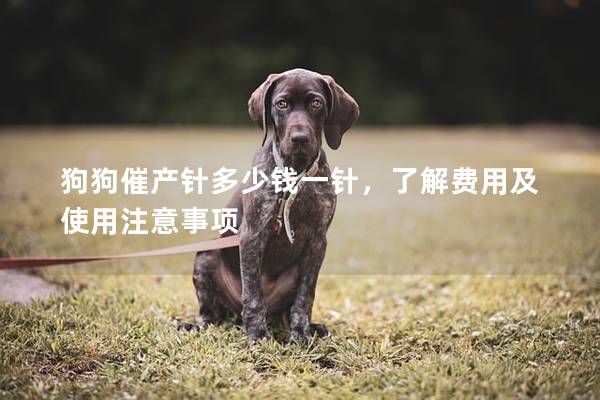 狗狗催产针多少钱一针，了解费用及使用注意事项