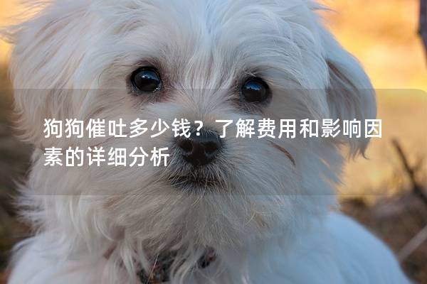 狗狗催吐多少钱？了解费用和影响因素的详细分析