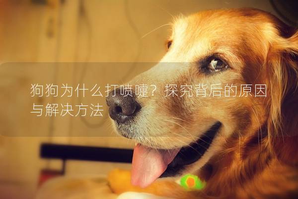 狗狗为什么打喷嚏？探究背后的原因与解决方法