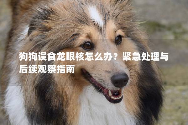 狗狗误食龙眼核怎么办？紧急处理与后续观察指南