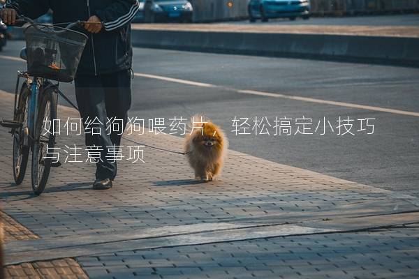 如何给狗狗喂药片，轻松搞定小技巧与注意事项