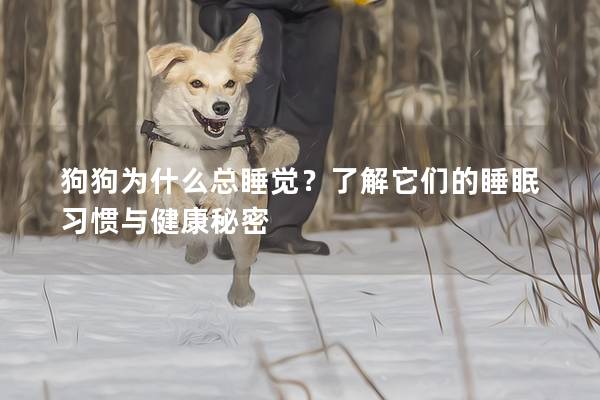 狗狗为什么总睡觉？了解它们的睡眠习惯与健康秘密