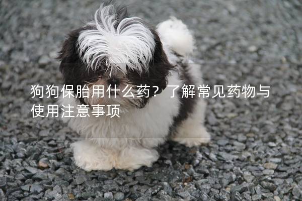 狗狗保胎用什么药？了解常见药物与使用注意事项