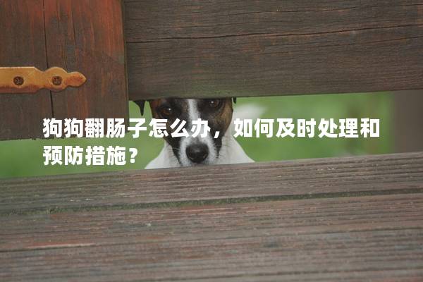 狗狗翻肠子怎么办，如何及时处理和预防措施？