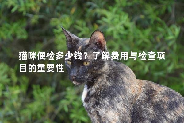猫咪便检多少钱？了解费用与检查项目的重要性