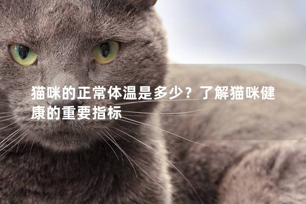 猫咪的正常体温是多少？了解猫咪健康的重要指标